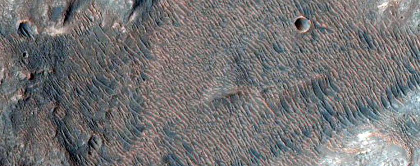 Proposed Future Landing Site in Ladon Valles Basin
