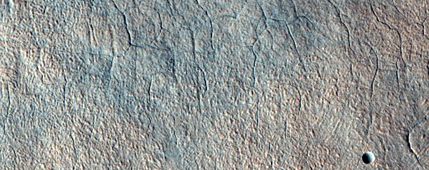 Diverse Features in Utopia Planitia
