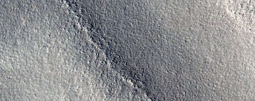 Linear Structures in Arcadia Planitia
