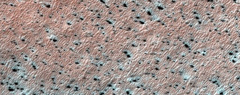 Seasonal Polygons and Fans on Dunes within Crater
