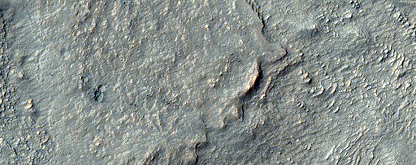 Volatiles and Gullies in Wirtz Crater

