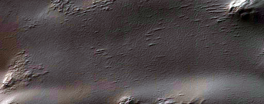 Spider Terrain
