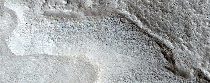 Placas de restos lobulados en Tempe Terra/Mareotis Fossae 