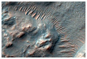 Gullies in Crater as Seen in CTX Image 