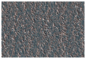 North Polar Residual Cap Monitoring Site with Early Spring Frost Cover