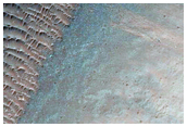 Gullies in Crater as Seen in THEMIS Image V26305006