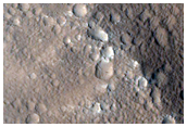 Slope Streak and Reticulate Bedform Monitoring