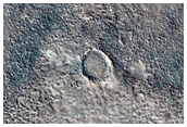 Impact and Gully Monitoring in Acidalia Region