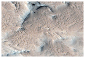 Flow with Reticulated Ridge Pattern