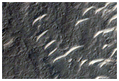 Fan in Amenthes Fossae