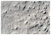 Central Uplift of A Large Well-Preserved Impact Crater