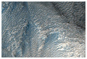 Gullies on the Rim of Lyot Crater
