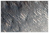 Central Peak Unnamed Crater in Chryse Planitia