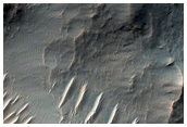 Terra Sirenum Crater Bedforms and Gullies
