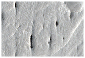 Meanders and Tributaries in Ridge Form in Zephyria Region