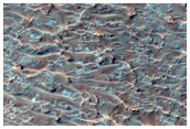 Plains Materials Near Oenotria Scopulus