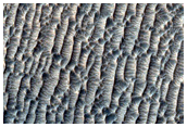 Impact Crater