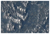 Flow Field South of Arsia Mons