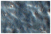Secondary Craters From Well-Preserved 12-Kilometer Crater