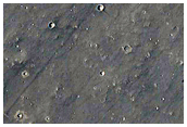 Western Elysium Region