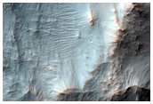Central Uplift of a Large Impact Crater