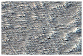 Fine-Scale Reticulate Bedform Change Detection in Daedalia Planum