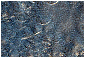 Possible Phyllosilicates