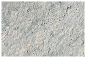New Impact Site