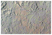 Reticulate Bedform and Recent Impact Crater
