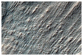 Gully Frost Monitoring