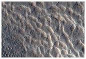 Crater with Fading Ice