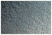 Gully Monitoring