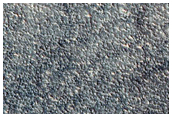 Possible Future Landing Site in Acidalia Planitia