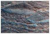 Gully Monitoring