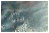 Well-Preserved Gullied Impact Crater