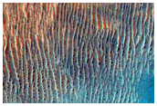Gullies
