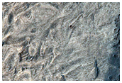 Light-Toned Layered Material in Melas Chasma