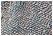 Margin of Flow-Like Form with Ripple-Textured Surface