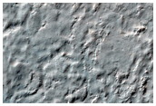 Light-Toned Material and Textured Plain