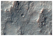 Light-Toned Polygonal Unit Exposed in Crater Walls and Plains