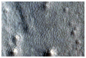 Varied Crater Morphologies