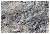 Possible Phyllosilicate Exposure on Rim of Terby Crater