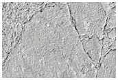 Platy-Ridged Flood Lava Surface in Elysium Planitia