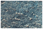 Possible Olivine Detection