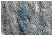 Possible Detection of Phyllosilicates in Crater Ejecta