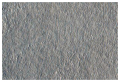 Arcadia Planitia Survey