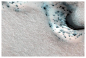 Defrosting of Dunes with Large Gullies