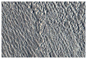 Debris Aprons around Mounds in Arcadia Planitia