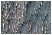 Possible Olivine Detection