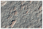 Olivine-Rich Flows in Crater Floor in Terra Sirenum